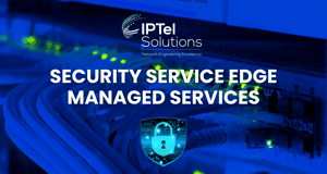 Security Service Edge Managed Services