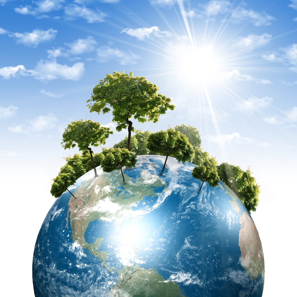 Environmental Network Refresh